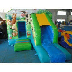 Farm Bouncy Castle Slide