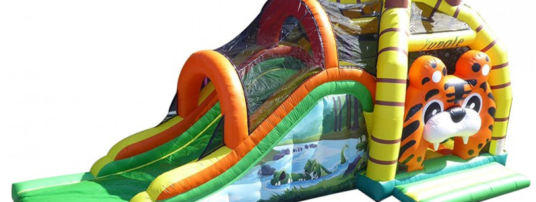 Why not choose Inflatable bouncers for your birthday party ? Why not choose Inflatable bouncers for your birthday party ?
