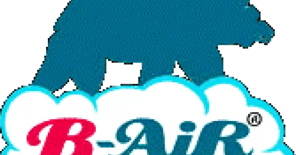 Picture of Introduction of B-Air